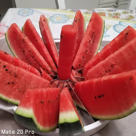 La Tartaruga 카르보니아