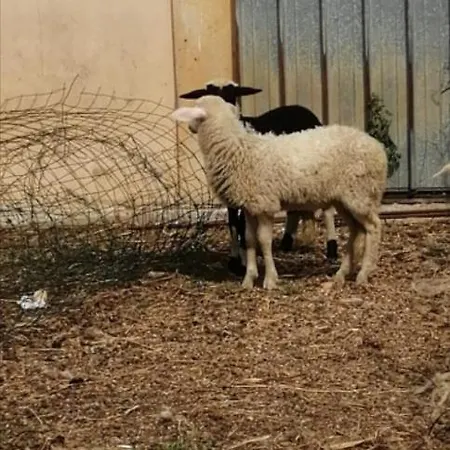 La Tartaruga 아파트 *