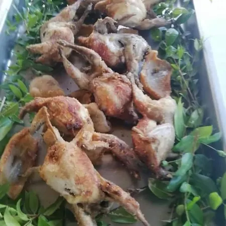 La Tartaruga 아파트 카르보니아