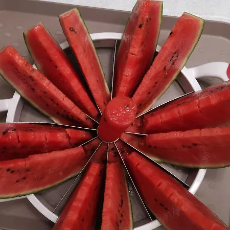 아파트 La Tartaruga 카르보니아