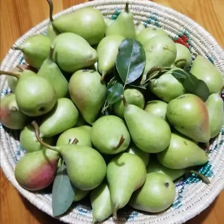 아파트 La Tartaruga 카르보니아